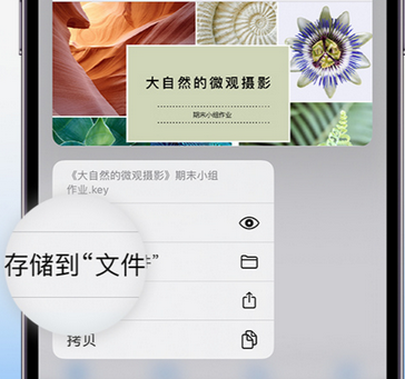 巴音郭楞apple维修中心分享iPhone文件应用中存储和找到下载文件