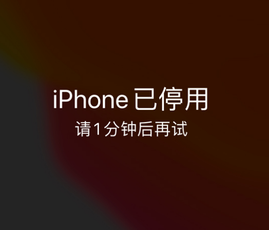 巴音郭楞苹果手机维修分享:iPhone 显示“不可用”或“已停用”怎么办？还能保留数据吗？ 