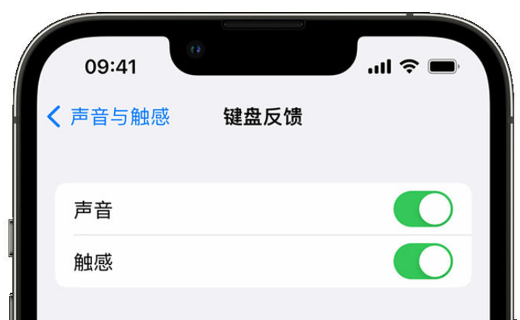 巴音郭楞苹果手机维修分享iPhone 14触感键盘使用方法 