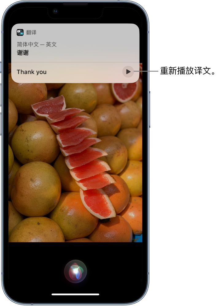 巴音郭楞苹果14维修分享 iPhone 14 机型中使用 Siri：了解 Siri 能帮你做什么 