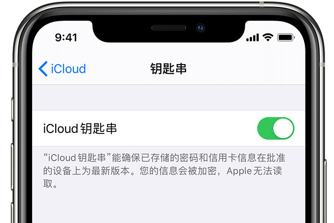 巴音郭楞苹果手机维修分享在 iPhone 上开启 iCloud 钥匙串之后会储存哪些信息 