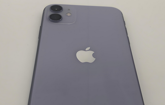 巴音郭楞苹果11系统维修分享iPhone11手机系统崩溃无法开机如何解决